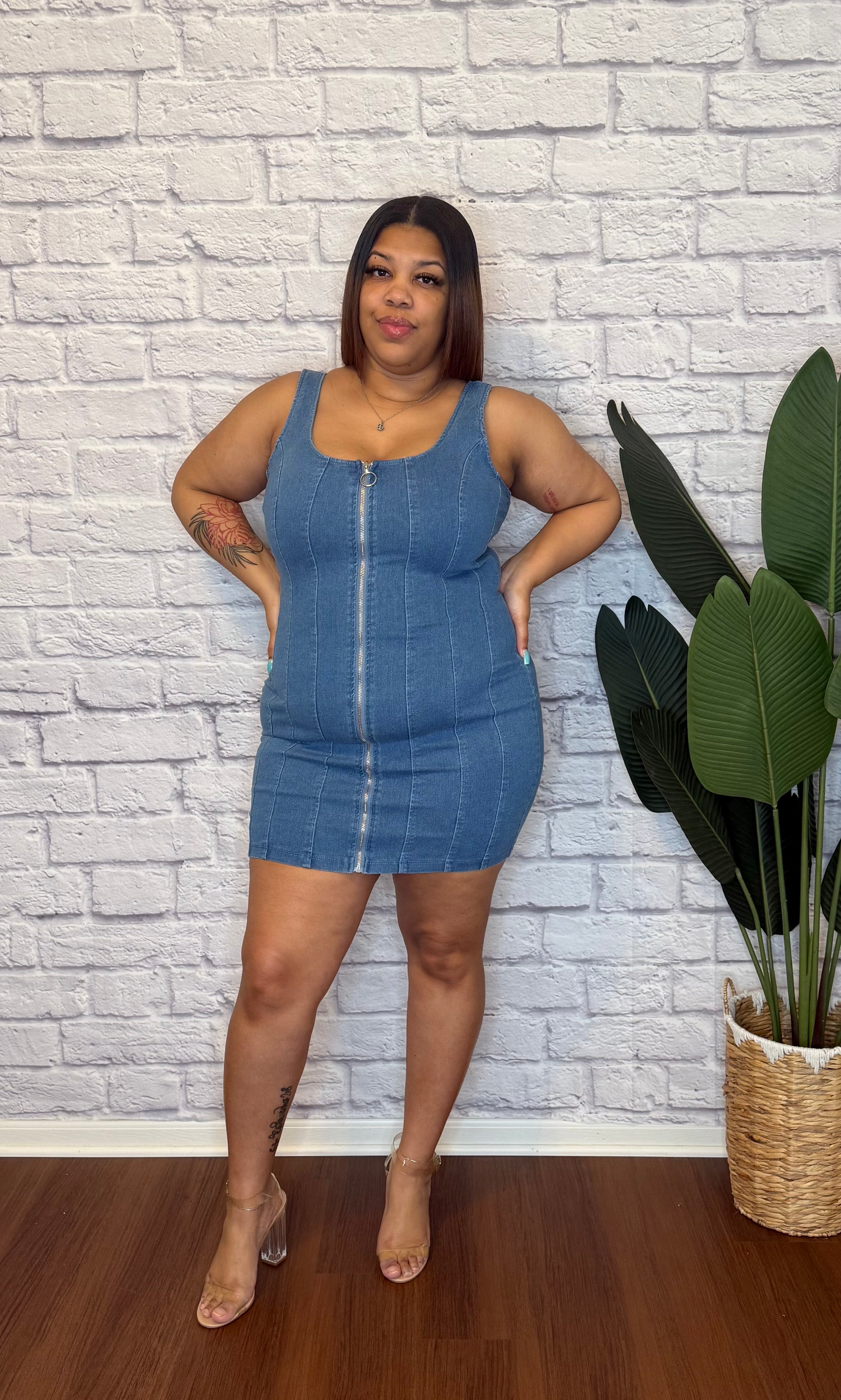 Snatched Denim Dress • Curve – K'Janée Boutique