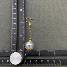 Load image into Gallery viewer, Catch of the Day Earrings